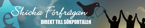 600-skicka-förfrågan