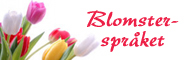 blomstersprak liten