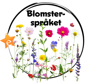 25TipsRad-Blomsterspraket2