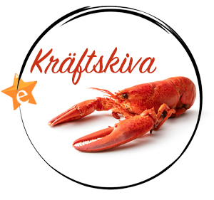 25TipsRad-Kraftskiva